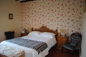 double-room-family-suit